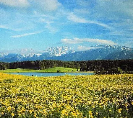 Kerpf Incl Königscard * Nesselwang